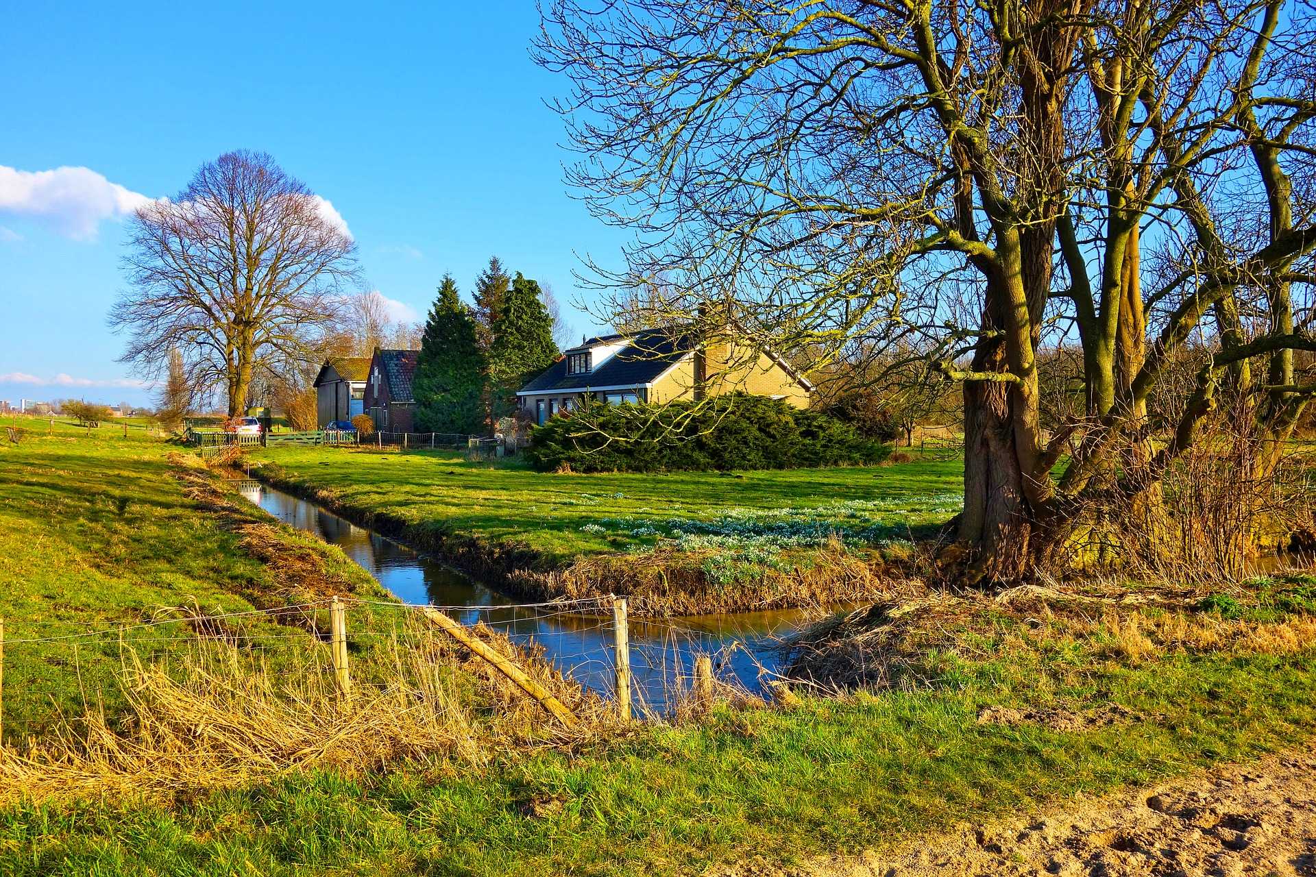 A rural landscape with a narrow stream, bare trees, green fields, and houses in the background under a blue sky